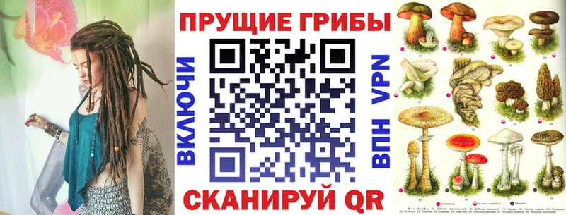 площадка Telegram  Советский  Псилоцибиновые грибы GOLDEN TEACHER  blacksprut онион 