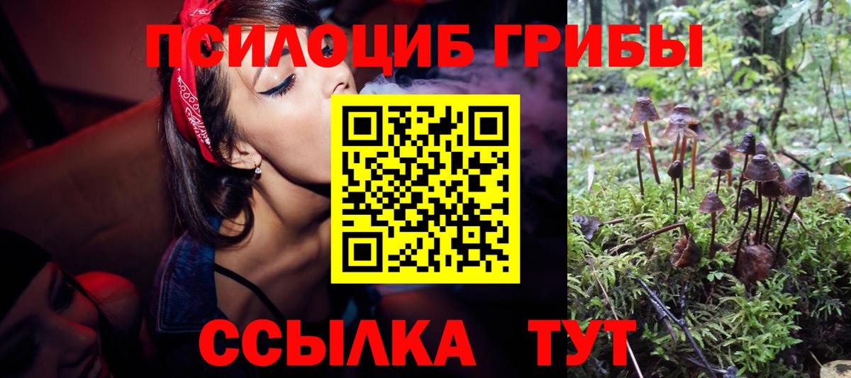 Галлюциногенные грибы GOLDEN TEACHER  купить наркотики сайты  Советский  Вход с VPN  Галлюциногенные грибы ЛСД 