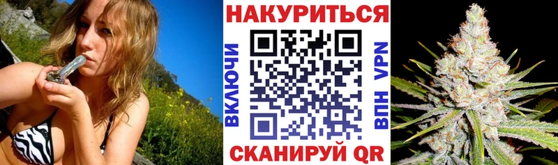 как найти наркотики Советский Марихуана сатива