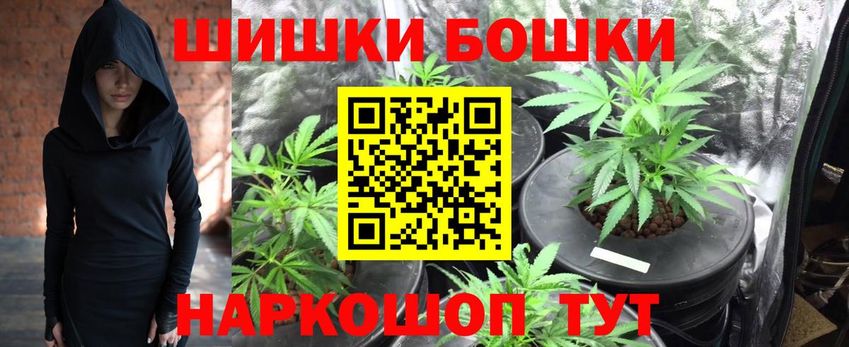 Конопля MAZAR  Каннабис Ganja  Вход с VPN  Советский  Шишки марихуана сатива 